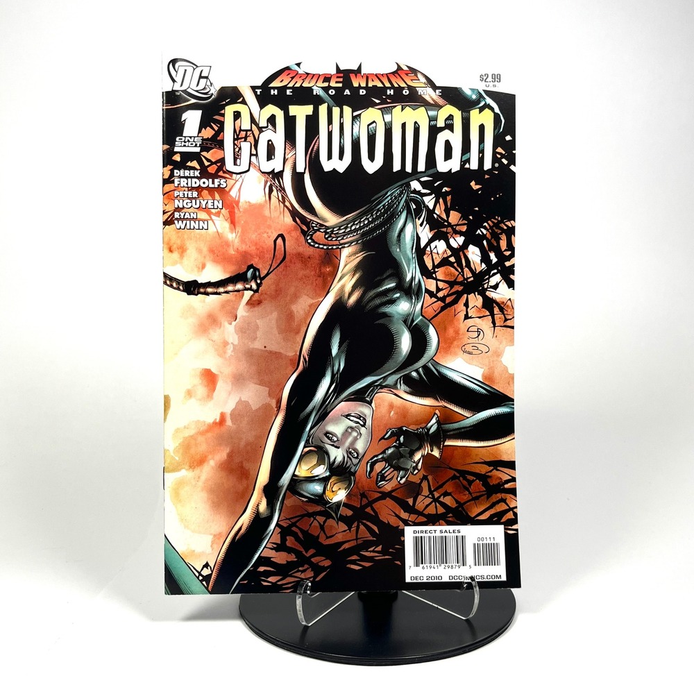 DC Comics Bruce Wayne The Road Home Catwoman 1 2010 One Shot Peter Nguyen Art